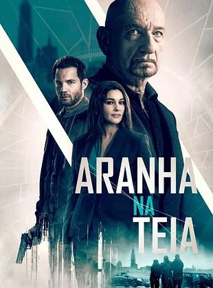 Aranha na Teia